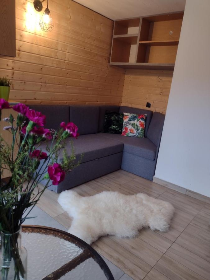 Villa Solina ซาโวซ ภายนอก รูปภาพ
